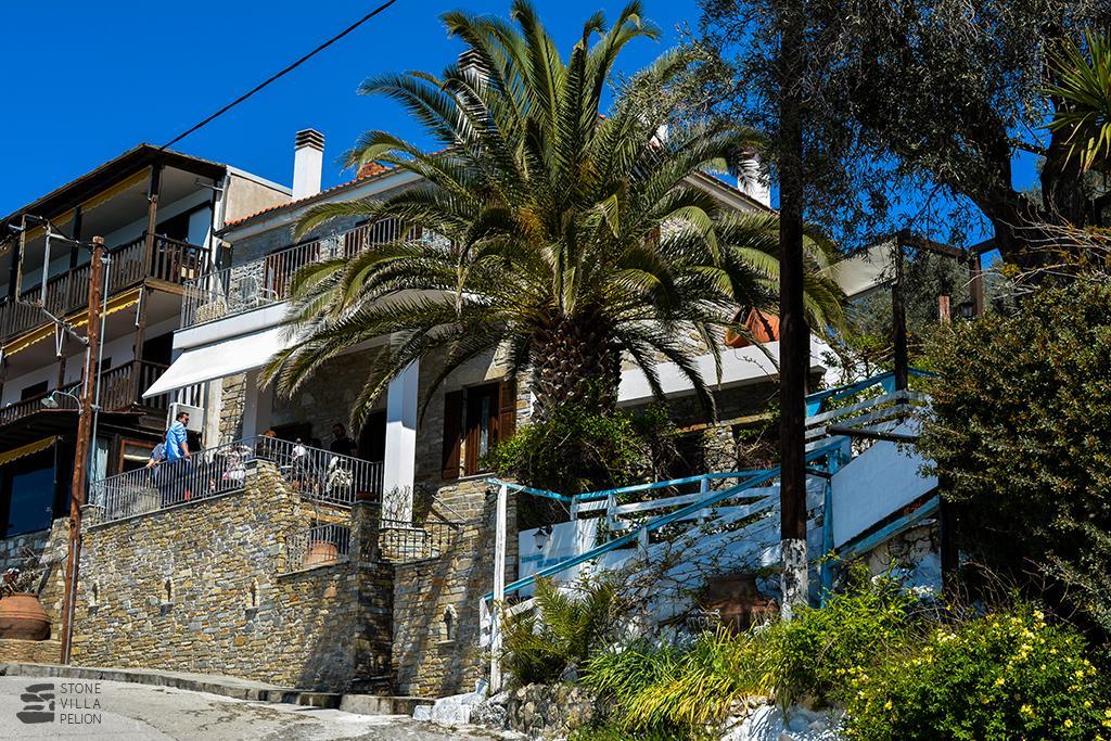 Stone Villa Pelion Άφησσος Εξωτερικό φωτογραφία